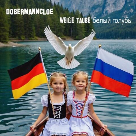 weiße Taube (белый голубь )