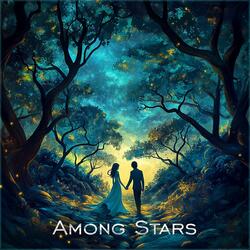 Among Stars (feat. vidin)