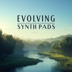 Evolving Synth Pads