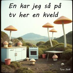 En kar jeg så på tv her en kveld