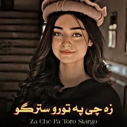 Za Che Pa Toro Stargo - زه چې په تورو سترو | Pashto Best Song