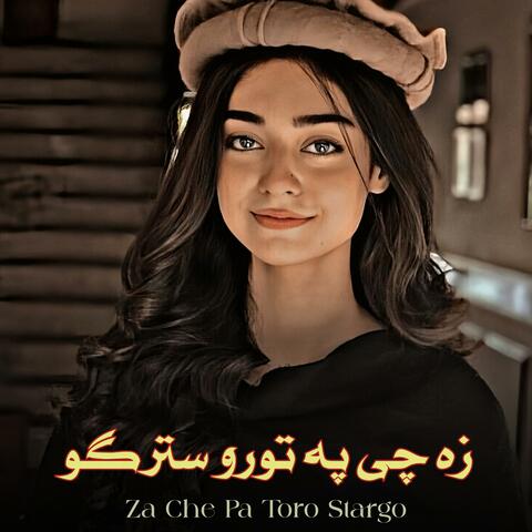 Za Che Pa Toro Stargo - زه چې په تورو سترو | Pashto Best Song