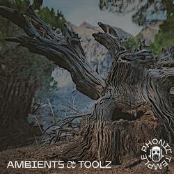 AMBIENTS & TOOLZ_B