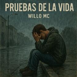 Pruebas de la vida