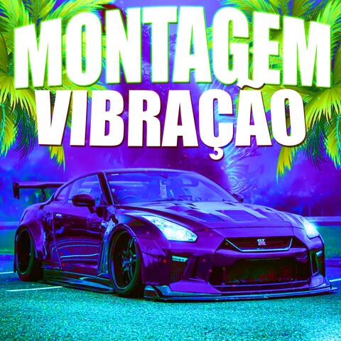 MONTAGEM VIBRAÇÃO