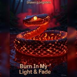 Burn In My Light & Fade