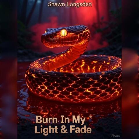 Burn In My Light & Fade
