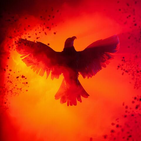 Ashes and Fire