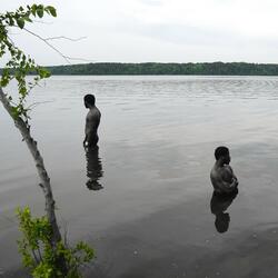 ii. cardigan:vascular