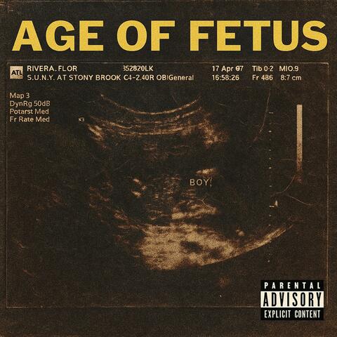 Age of Fetus