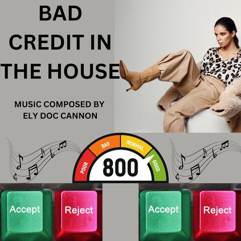 BAD CREDIT IN THE HOUSE