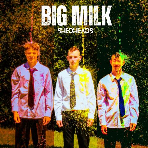 BIG MILK
