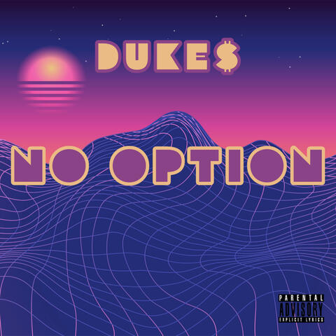 NO OPTION.