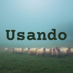 Usando