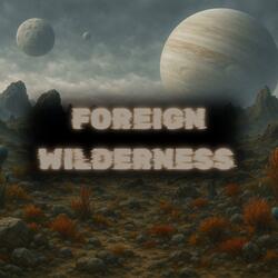 Foreign Wilderness