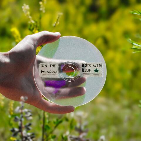 In The Meadow