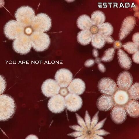 You are not alone