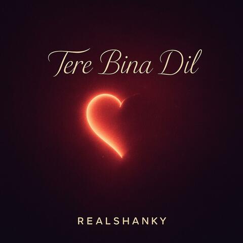 Tere Bina Dil