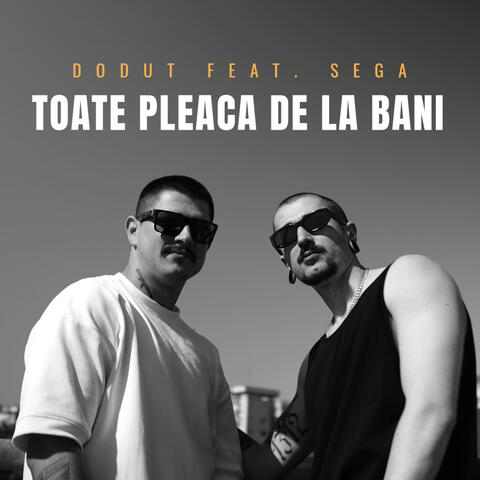 Toate pleaca de la bani (feat. Dodut)