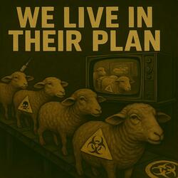 We Live In Their Plan (Live)