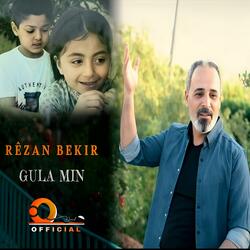 Rêzan Bekir _ Gula min - وردتي New Official Music Audio