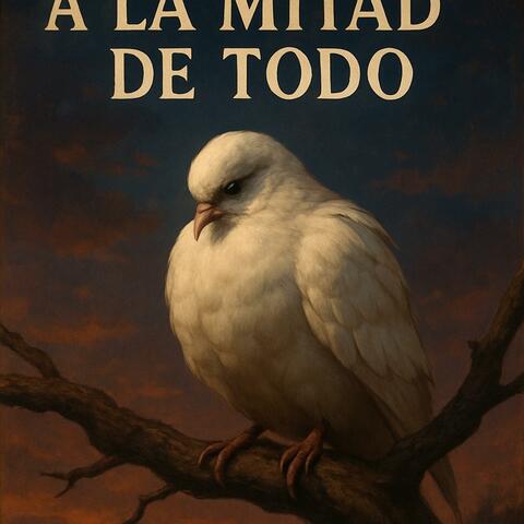 A la Mitad de Todo