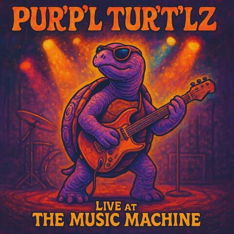 Pur'p'l Tur't'lz Live at The Music Machine