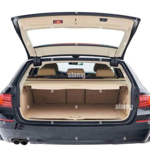 trunk