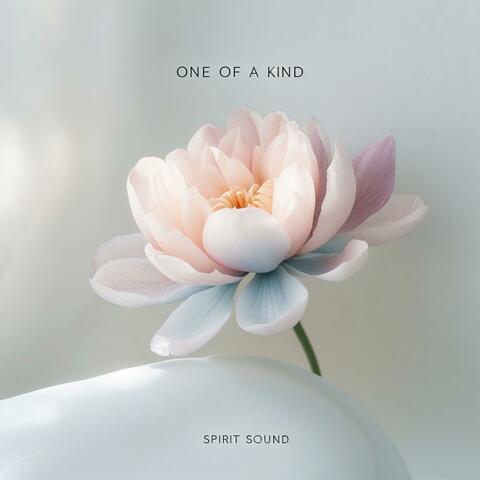One Of A Kind