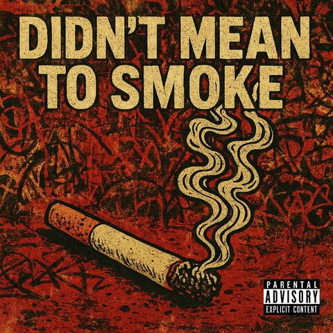 Didn't Mean To Smoke