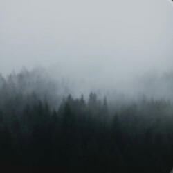 Q5, Shit im On (feat. CashTyy)