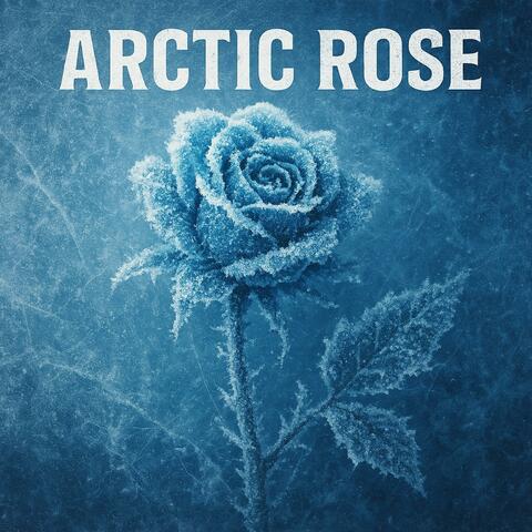 Arctic Rose