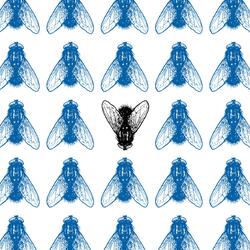 FLY
