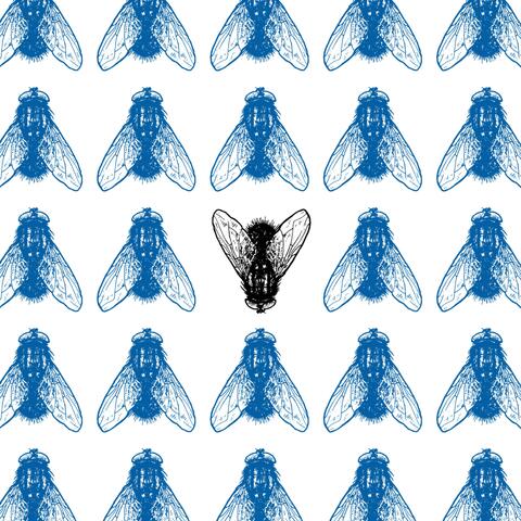 FLY
