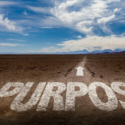 Purpose