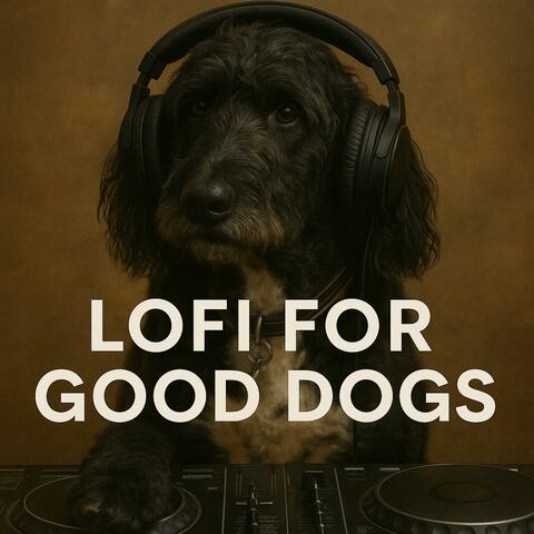 LoFi For Good Dogs
