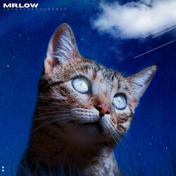 Mr.Low