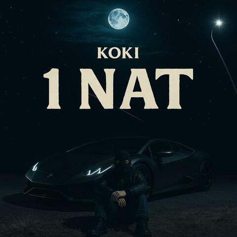 1 Nat