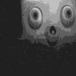 Shock Films Aren’t For Everyone