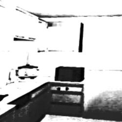 Unorthodox Taxidermy