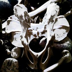 Beyond Rage (Empathy's Riddle)