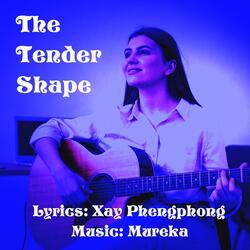 The Tender Shape