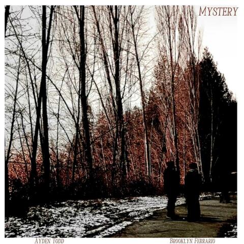 MYSTERY (feat. Brooklyn Ferrario)