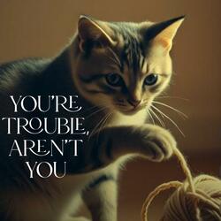 You're Trouble, Aren't You