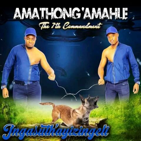 Ingasutha Ayizingeli