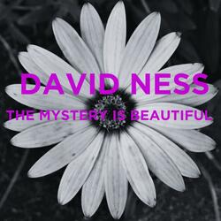 The Mystery is Beautiful