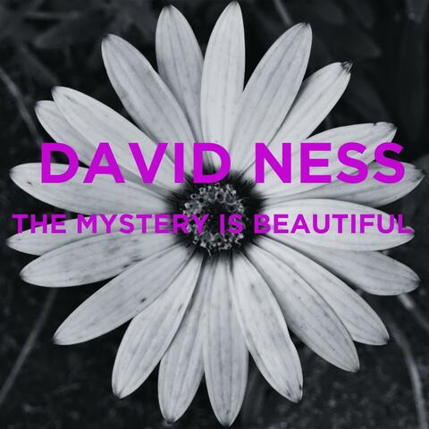 The Mystery is Beautiful