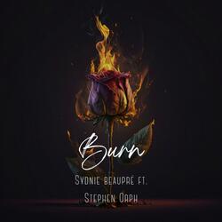 Burn (feat. Stephen Orph)
