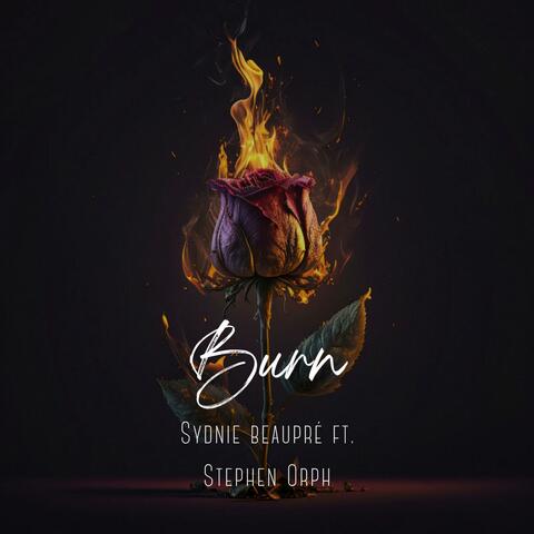 Burn (feat. Stephen Orph)