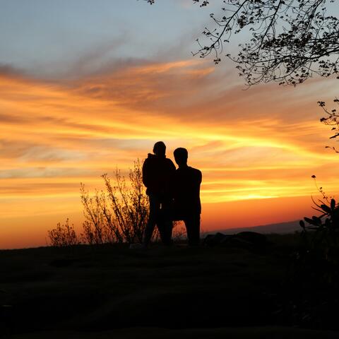 Photo Book Love Song
